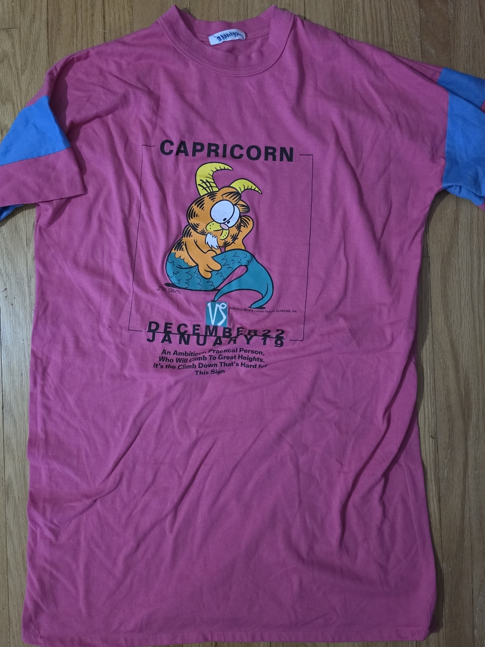 Garfield Capricorn Night Shirt - Pink with Blue Stripes